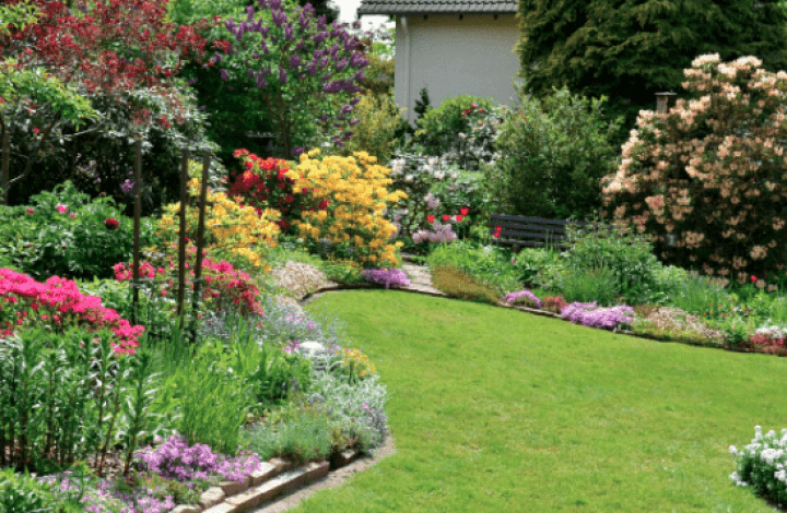 Gartenanlage/Gartenrenovierung